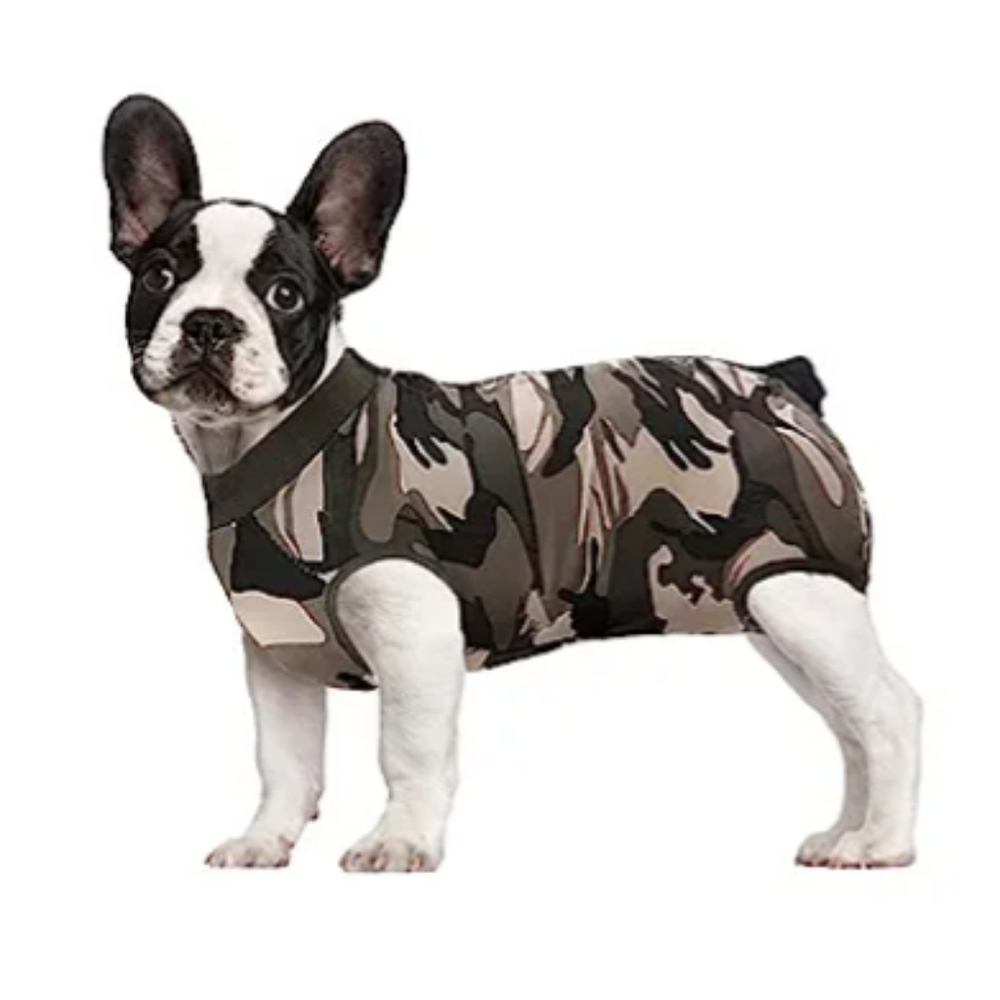 Dog Gray Camo Recovery Suit